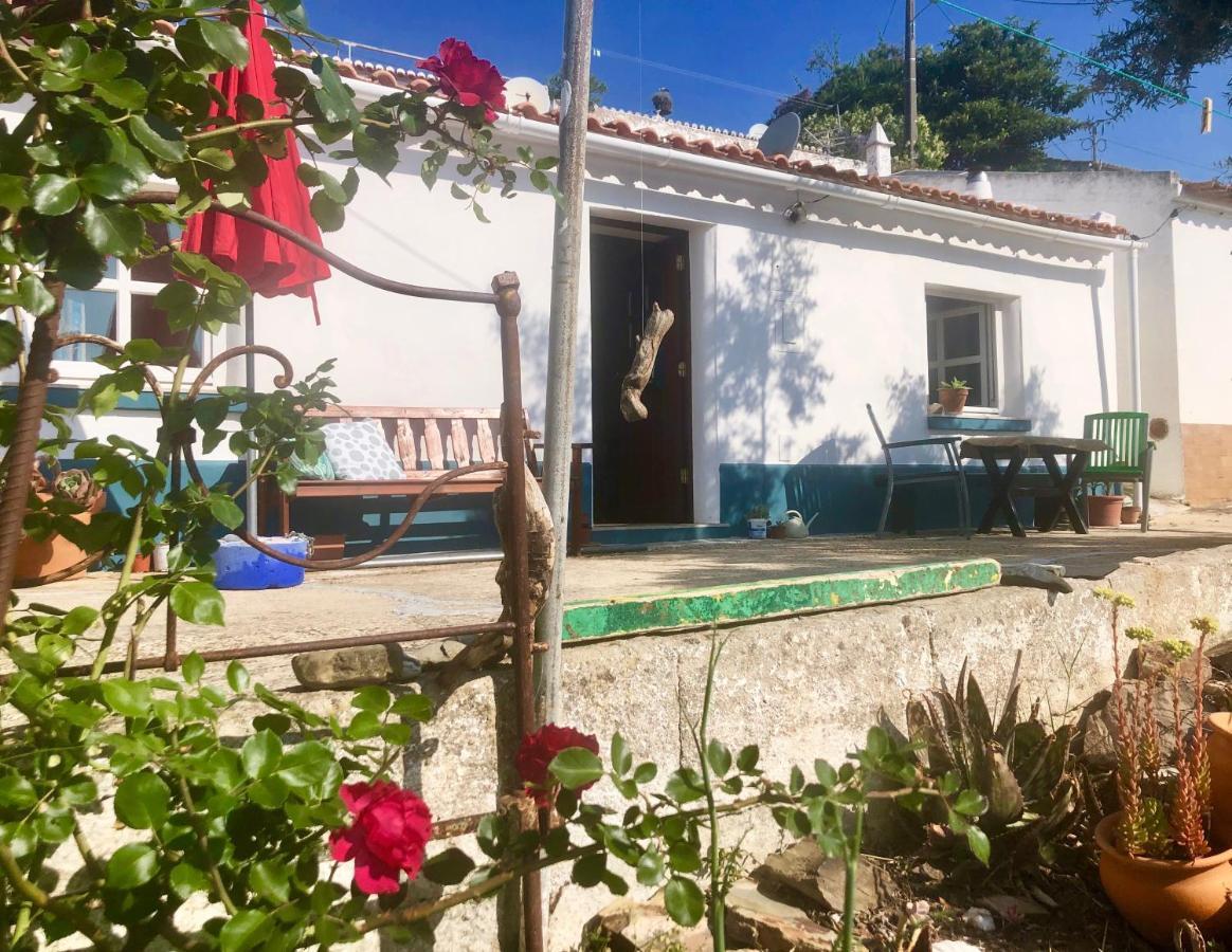 Dom wakacyjny Casa Anneli - Relaxing Under The Olive Tree